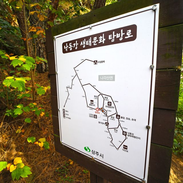 아찔한 출렁다리에서 만나는 상주의 풍경