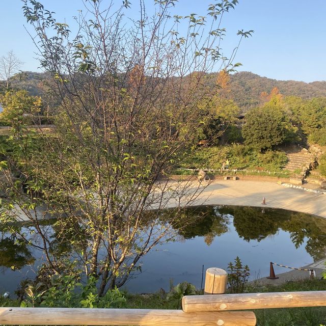 ✨四季の郷公園✨　道の駅