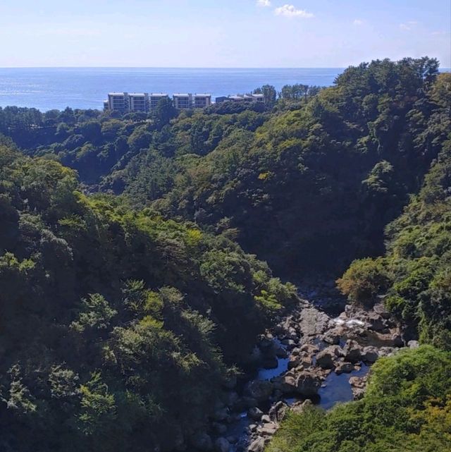 제주도 수학여행 필수코스 천지연폭포를 가보자