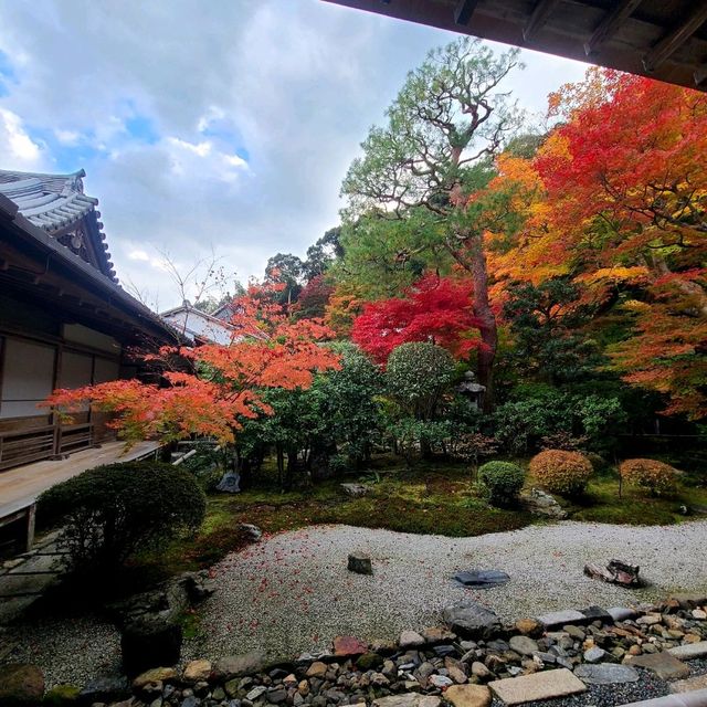 京都の風情がぎゅっと凝縮【二尊院】✨