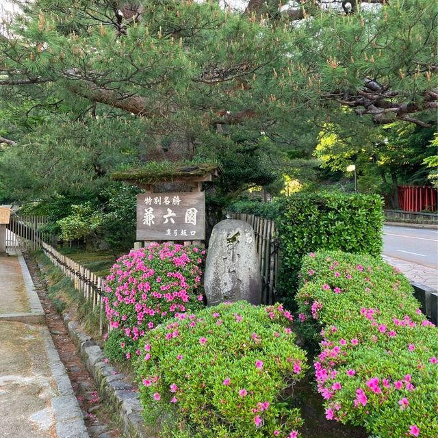 【兼六園】早朝が最高☀️