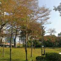 屯門公園❤️❤️