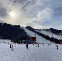 강원도 홍천 스키장🏂비발디파크 스키장