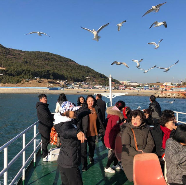 釜山太宗臺乘船🛥環島遊🏝餵海鷗