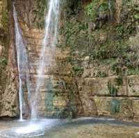 Ein gedi reserve