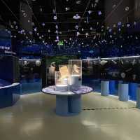 Chongqing Science and Technology museum 