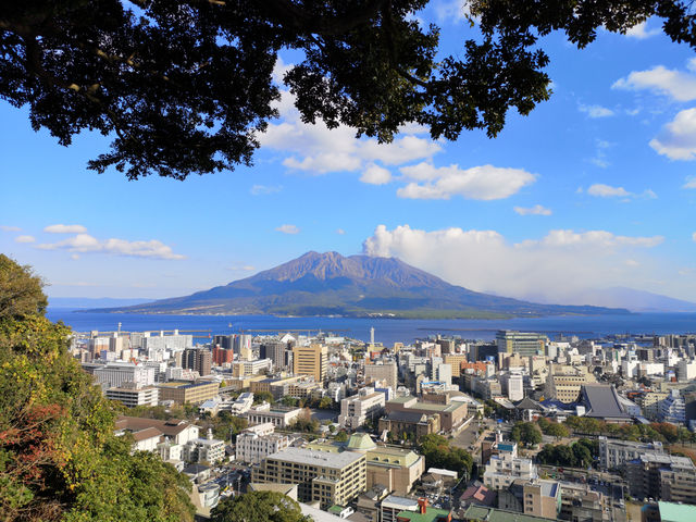 城山展望臺・ 城山自然歩道