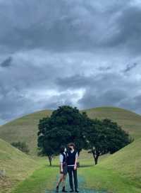 사계절 내내 아름다운 대릉원 🌳