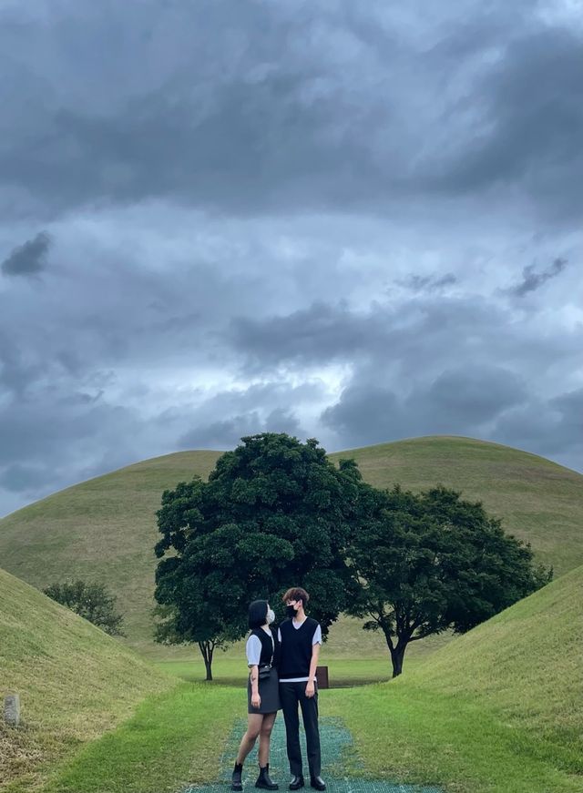 사계절 내내 아름다운 대릉원 🌳