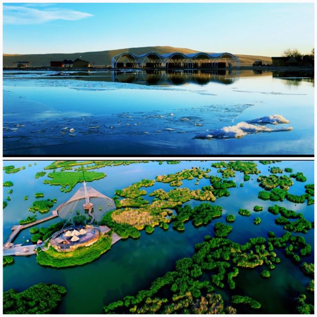 Half lake, half sand 🏜️ The desert lake is truly the "Jiangnan" of the north! 🌆