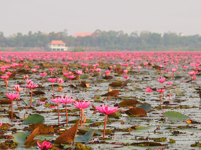 Off-the-beaten-path destination in Thailand, ranked as the world's second largest wonder by CNN.