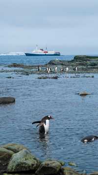 Antarctica | Cross the Drake Passage to the world of penguins