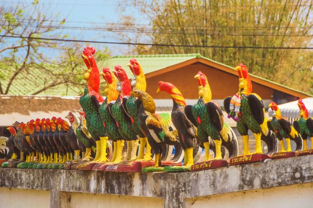 Thai tourism: Bai County Nanhu Temple, impressive rooster.