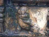 Sri Lanka Trip: The Parliament Building of Polonnaruwa Ancient City