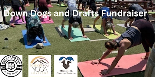 Down Dogs and Drafts (Loveland) | Backyard Tap