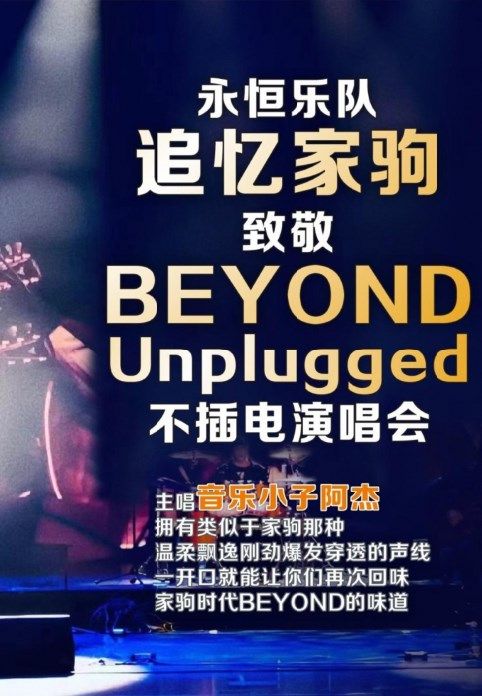 追憶家駒致敬Beyond Unplugged不插電演唱會 南陽站｜演唱會 | 南陽大劇院