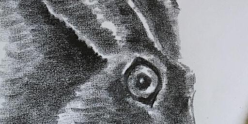 Wild Monster Drawing with Illustrator and Comic Creator, Julian Gray. | Manchester Museum