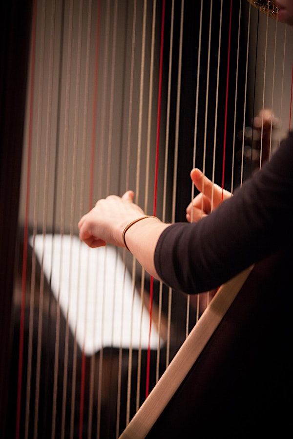 AYPO's Harp Ensemble, Prelude Strings & Debut Orchestra in Concert | Rachel M. Schlesinger Concert Hall and Arts Center