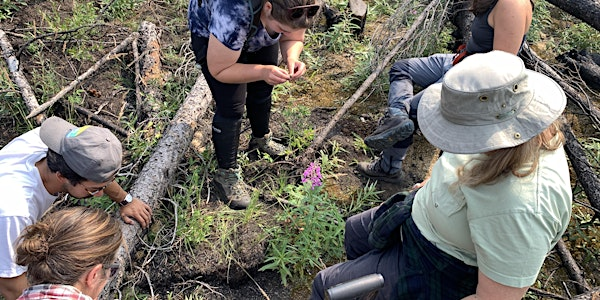 Forest checkup: What trees tell us | The Gunnar Nilsson & Mickey Lammers Research Forest