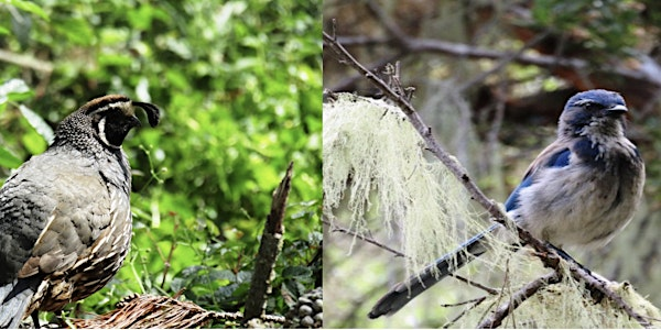 A Focus on Birding Hike in the San Jose Creek Natural Preserve | Ishxenta State Park