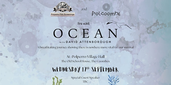 Polperro Film Screenings and Polcoombe Present : OCEAN | Polperro Village Hall