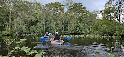 2026 Sultana Adult Paddling Experience-St. Mary's, MD | The Inn at Leonardtown, Ascend Hotel Collection