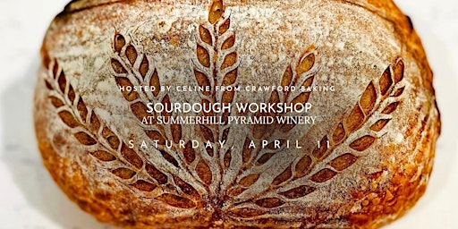 Sourdough Workshop at Summerhill Pyramid Winery | Summerhill Pyramid Winery