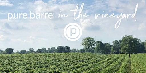 Pure Barre in the Vineyard | Youngblood Vineyard