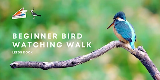Beginner Birdwatching Walk at Leeds Dock - Leeds Lapwings x North Star | North Star Coffee Shop