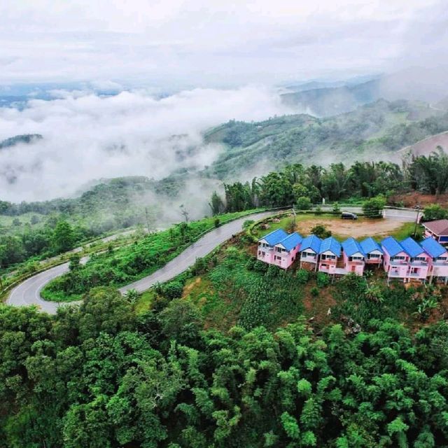 บ้านพัก ภูชีฟ้า รีสอร์ท