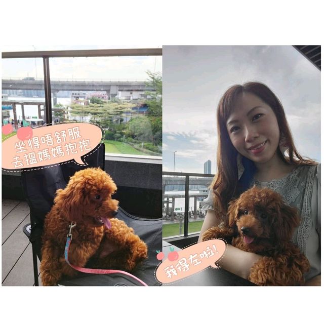 北角寵物友善餐廳