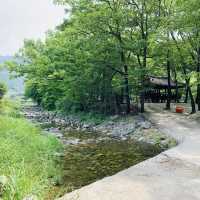 여름 캠핑은 지리산 계곡과 함께~💙