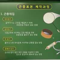 [🇰🇷, 진주] 산림박물관 전시회, ‘수목원 속 작은 친구들’ 🦋