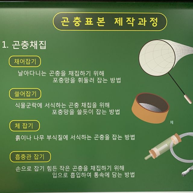 [🇰🇷, 진주] 산림박물관 전시회, ‘수목원 속 작은 친구들’ 🦋