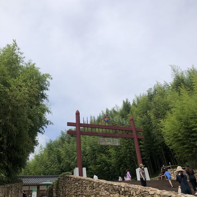 담양 죽녹원