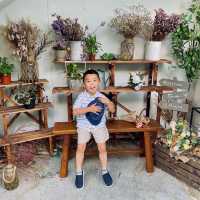 森系花園咖啡店打卡熱點，交通方便鄰近荔枝角公園！