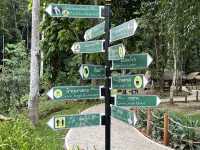 ตาดร้อยครัว ຕາດຮ້ອຍຄົວ Green Jungle Park