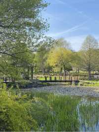 【전주】 포토존가득🌲한국도로공사수목원