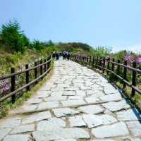 지리산 바래봉 등산 