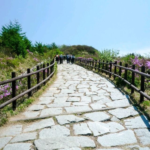 지리산 바래봉 등산 