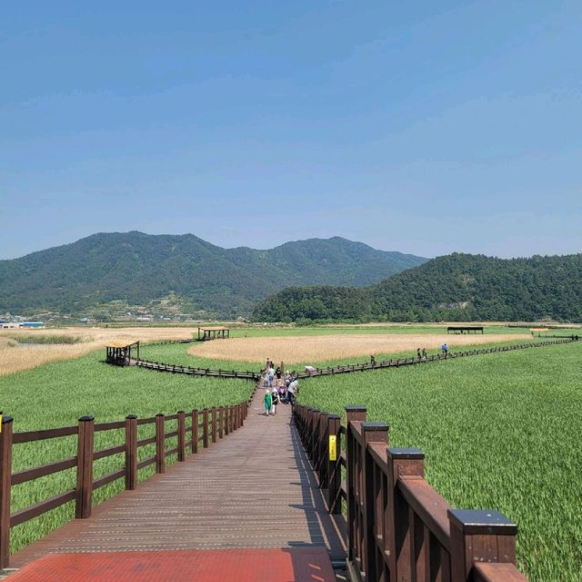 순천여행 순천만자연생태공원 