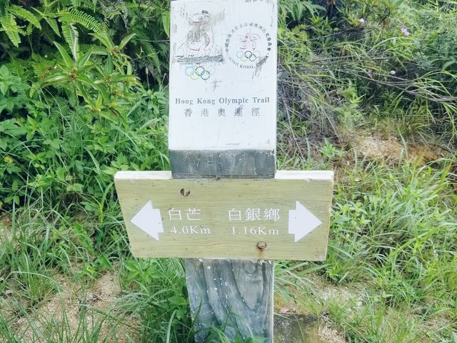 老虎頭