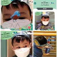同仔仔一樣冇手尾動物免費展覽