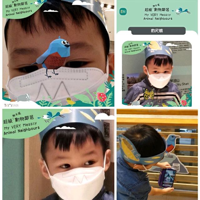 同仔仔一樣冇手尾動物免費展覽