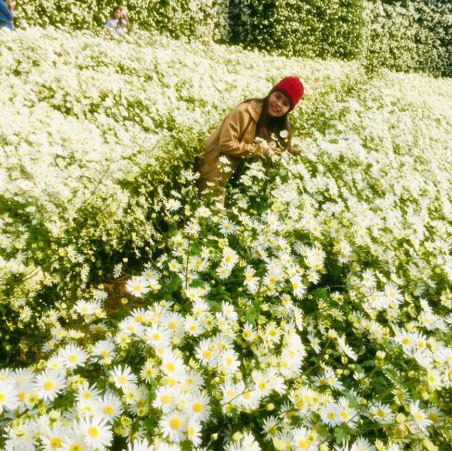 Flower Valley Tay Ho