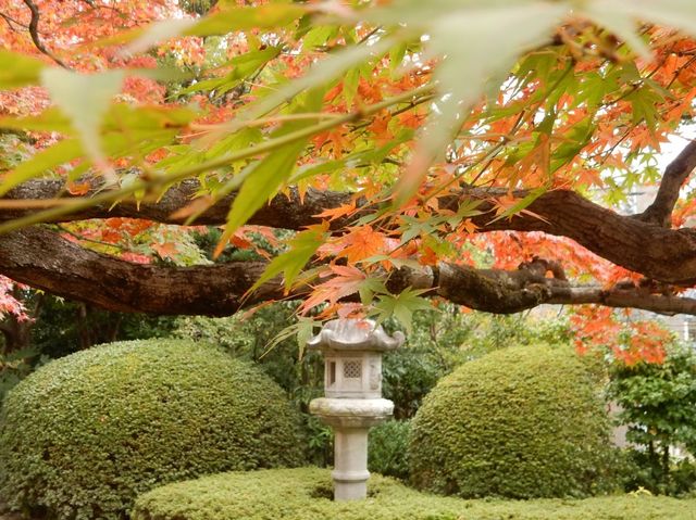 【福岡】動植物園近くの日本庭園