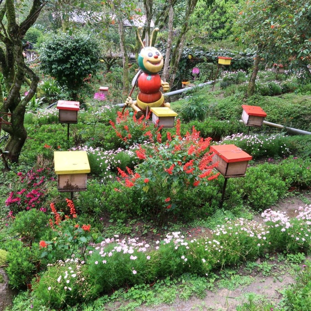 Cameron Highlands: Ee Feng Gu Bee Farm