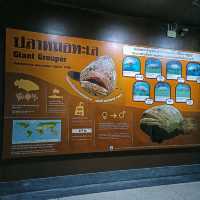 สถานแสดงพันธุ์สัตว์น้ำภูเก็ต