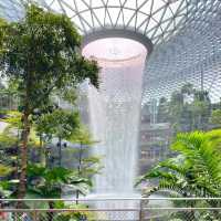 📍ก่อนกลับต้องแวะ Jewel Changi Airport! 