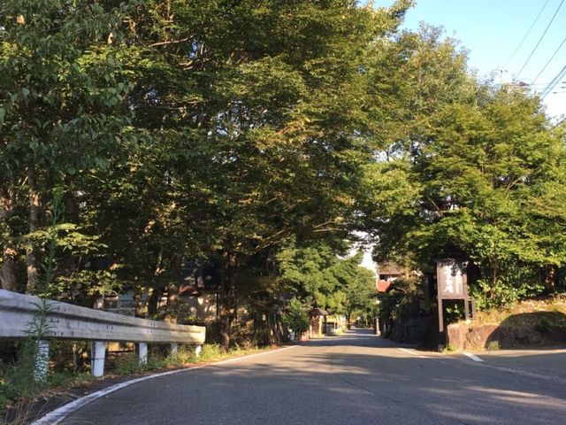 旅遊推介 九州站-阿蘇山